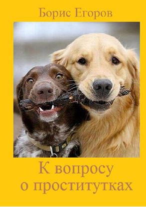 Обложка книги "К вопросу о проститутках"