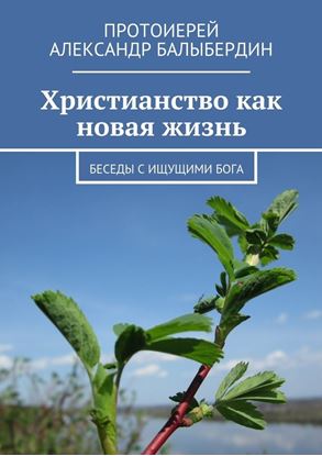 Обложка книги "Христианство как новая жизнь. Беседы с ищущими Бога"