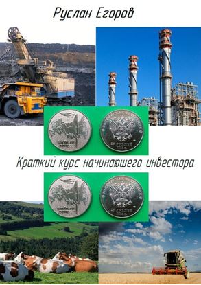 Обложка книги "Краткий курс начинающего инвестора"